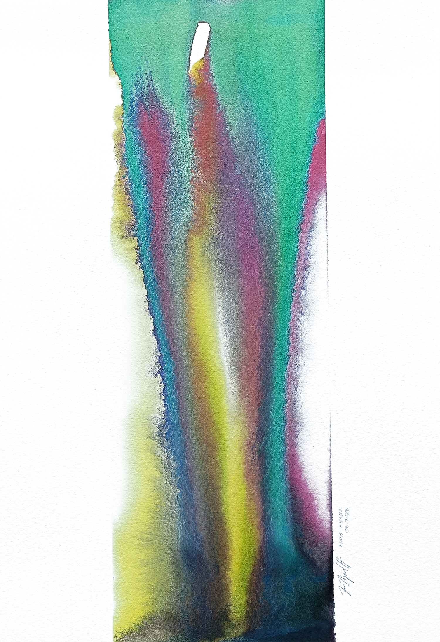 Long Legs & Buffalo Shoes, Size A4