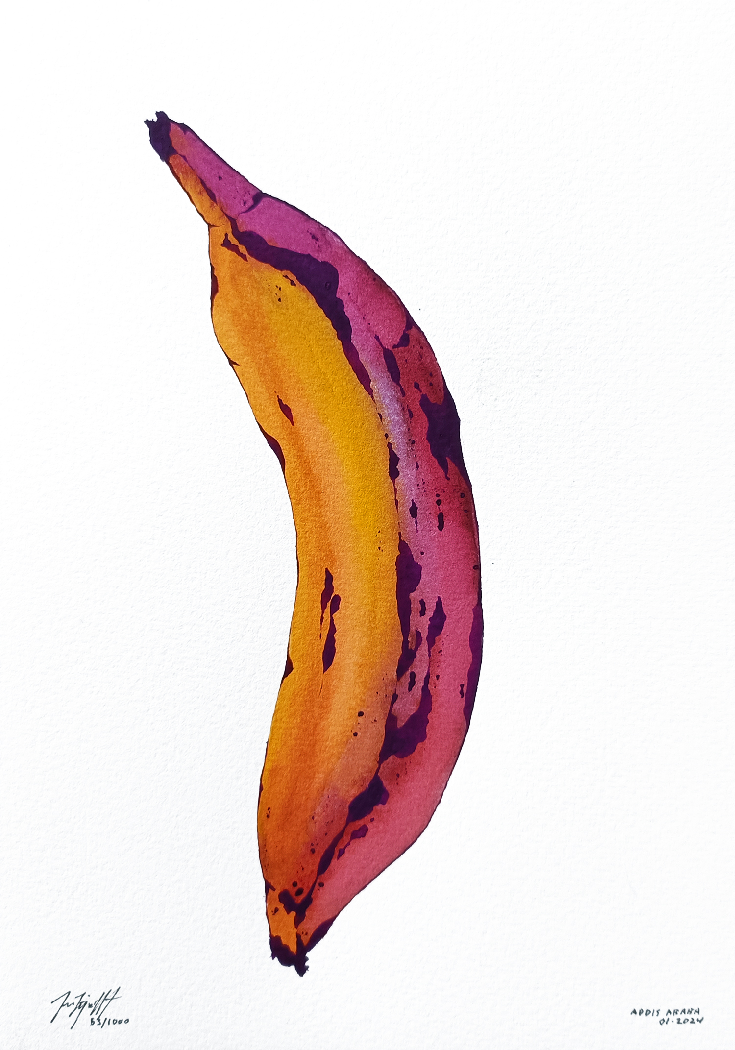 Vestpaa Studio Original Artwork Watercolor No. 53, Banana Art